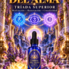 Umbral del alma
